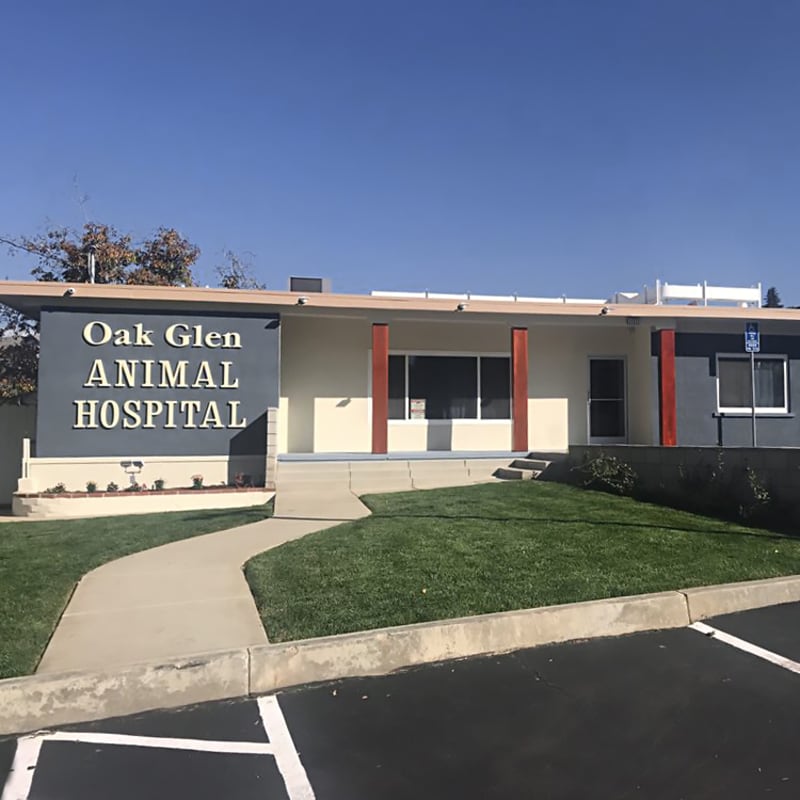 Oak Glen Animal Hospital in Yucaipa